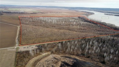 This diverse WRP tract along the Arkansas River is ready for new - photo 4