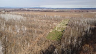 This diverse WRP tract along the Arkansas River is ready for new - photo 7