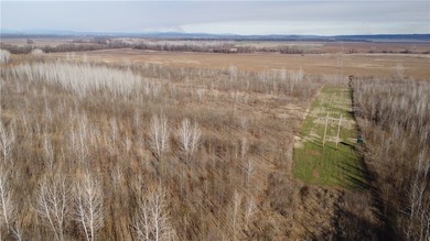 This diverse WRP tract along the Arkansas River is ready for new - photo 8