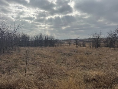 (private lake, pond, coastal) Acreage For Sale in Decatur Texas