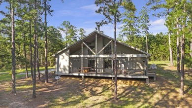 This extraordinary property, INCLUDING BOAT nestled within the - photo 27