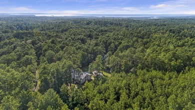 This extraordinary property, INCLUDING BOAT nestled within the - photo 30