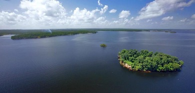 This extraordinary property, INCLUDING BOAT nestled within the - photo 31