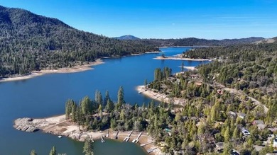 *ALMOST* waterfront with 2 boat slips, 2 jet ski docks, a - photo 51