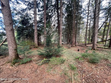 Towamensing Trails Lake Lot Sale Pending in Albrightsville Pennsylvania