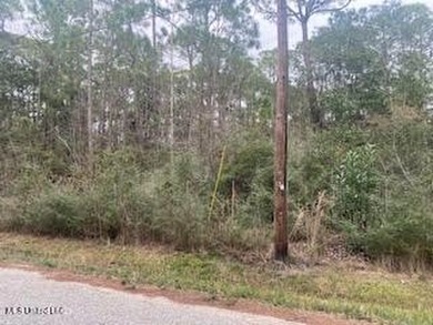 Build your new home in this quiet neighborhood close to the - photo 1