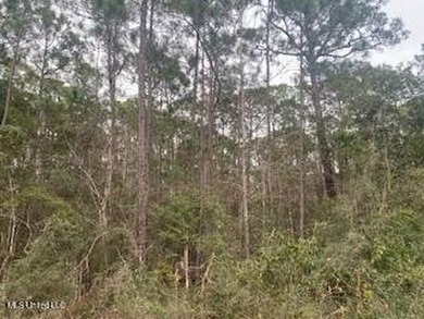 Build your new home in this quiet neighborhood close to the - photo 2