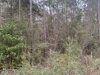 Build your new home in this quiet neighborhood close to the - photo 3