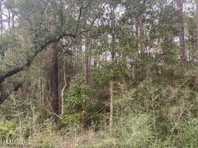 Build your new home in this quiet neighborhood close to the - photo 4