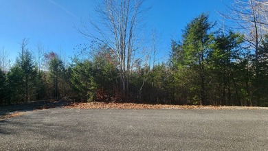 Enjoy the lake life with this private 1.2756 acre cul-de-sac lot - photo 3