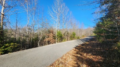 Enjoy the lake life with this private 1.2756 acre cul-de-sac lot - photo 4