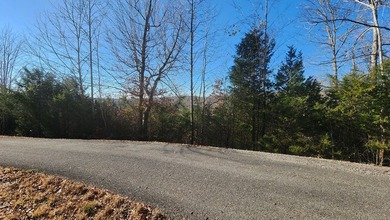 Enjoy the lake life with this private 1.2756 acre cul-de-sac lot - photo 5