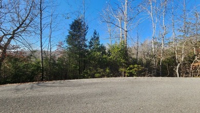 Enjoy the lake life with this private 1.2756 acre cul-de-sac lot - photo 6