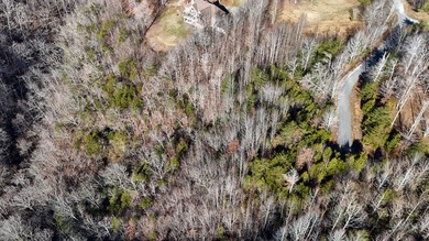 Enjoy the lake life with this private 1.2756 acre cul-de-sac lot - photo 9