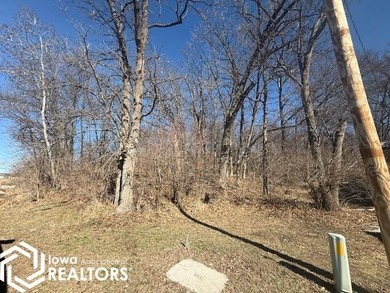 Lakeview lot for sale, close to beach and park. The world is - Lake Lot Sale Pending in Brooklyn, Iowa