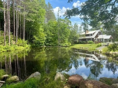 Lake Home For Sale in Wells, New York