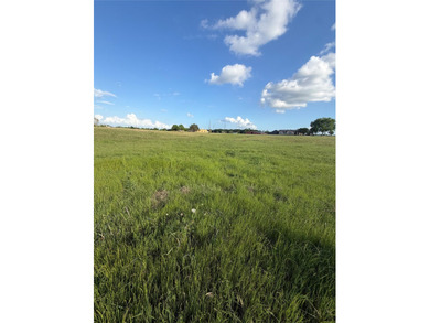 1.5 acres of peaceful, undeveloped land on Lake Bonham. This - photo 3