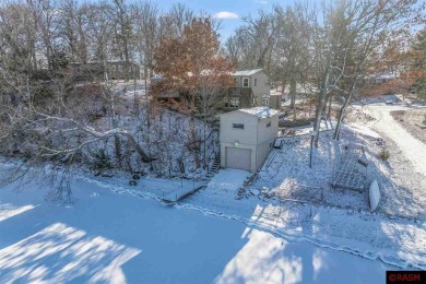 Lake Home For Sale in Elysian, Minnesota