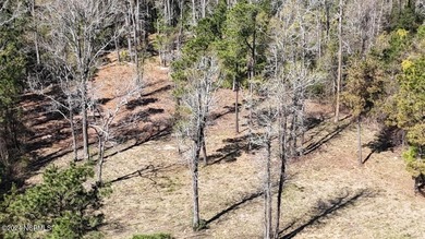 Welcome to 107 Pin Oak Ct, Beaufort, NC 28516! Nestled within - photo 2