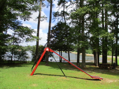 Lakes, Golf Cart Friendly Community, Camp Lots - photo 2