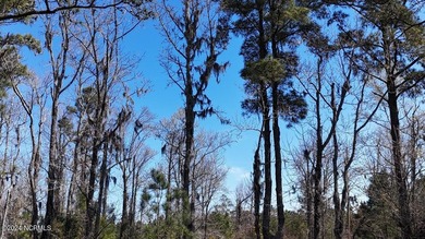 Welcome to 107 Pin Oak Ct, Beaufort, NC 28516! Nestled within - photo 6