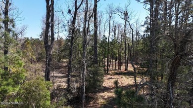 Welcome to 107 Pin Oak Ct, Beaufort, NC 28516! Nestled within - photo 7