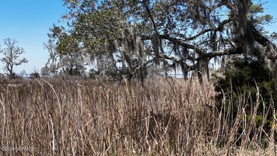 Welcome to 107 Pin Oak Ct, Beaufort, NC 28516! Nestled within - photo 10