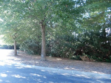 Sought after Saw Grass East in Carolina Forest. Regular - photo 18