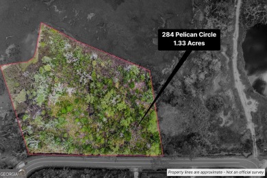 Crooked River Lot Sale Pending in Woodbine Georgia