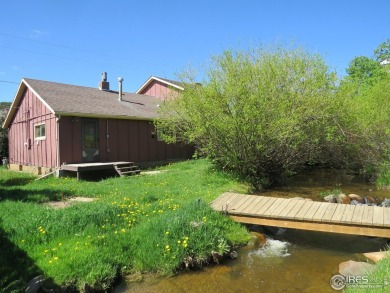 Lake Home For Sale in Nederland, Colorado