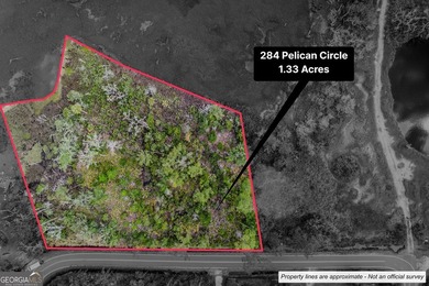 Check out this marsh-front 1.33 acre lot near the public boat - photo 2