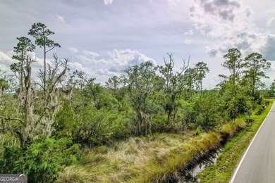 Check out this marsh-front 1.33 acre lot near the public boat - photo 4