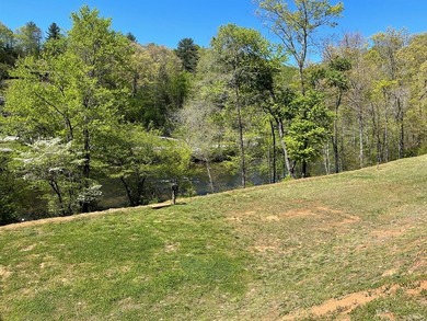 Perfect basement lot homesite near the entrance of Cullowhee - photo 5