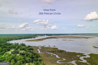 Check out this marsh-front 1.33 acre lot near the public boat - photo 6