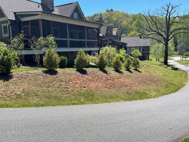 Perfect basement lot homesite near the entrance of Cullowhee - photo 8