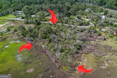 Check out this marsh-front 1.33 acre lot near the public boat - photo 8