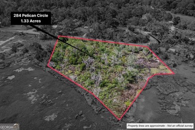 Check out this marsh-front 1.33 acre lot near the public boat - photo 9