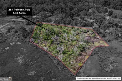 Check out this marsh-front 1.33 acre lot near the public boat - photo 10