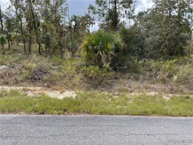 (private lake, pond, creek) Lot For Sale in Dunnellon Florida