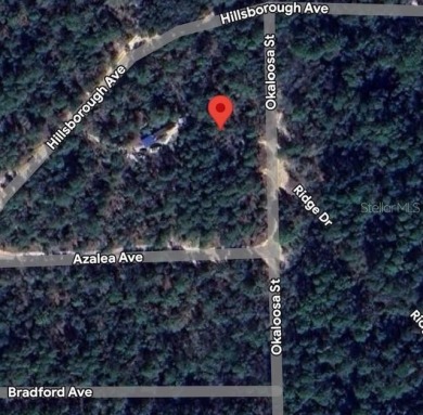 Lake Lot For Sale in Florahome, Florida