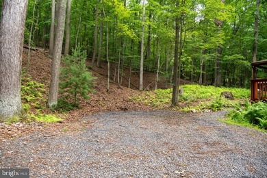 Bring your vision to this 1-bedroom, 1-bath chalet in the - photo 41