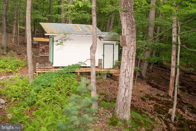 Bring your vision to this 1-bedroom, 1-bath chalet in the - photo 46