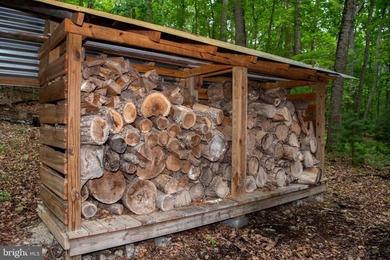 Bring your vision to this 1-bedroom, 1-bath chalet in the - photo 48