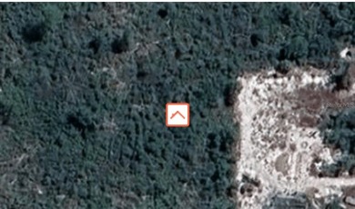 Lake Josephine Lot For Sale in Sebring Florida