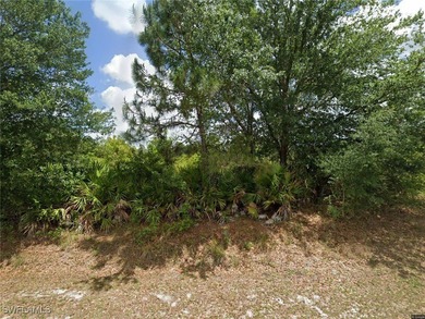 Lehigh Acres Area Lot For Sale in Lehigh Acres Florida