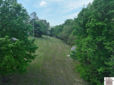 Lake Barkley Waterfront Lots! These 3 gently sloping lots offer - photo 4