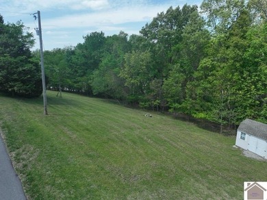 Lake Barkley Waterfront Lots! These 3 gently sloping lots offer - photo 6