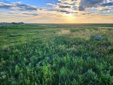 (private lake, pond, creek) Acreage For Sale in Akron Colorado