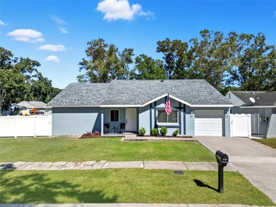 Lake Home For Sale in Tampa, Florida