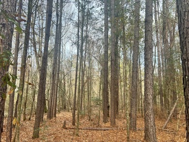 This +/-19-acre property in Jasper County, MS, offers a - photo 2